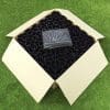 Garden Base Kit - 5x4ft