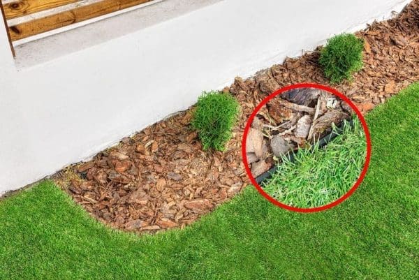 GeoBorder Lawn Edging 1m - Image 4